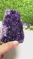 Standing Amethyst Clusters from Uruguay AAA Extra (Very dark Purple)