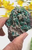 Dioptase Mineral Specimen (Resolve past Karma)
