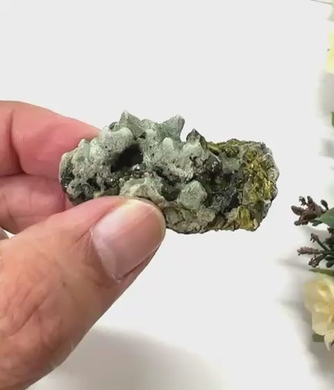 #Size_option b (24.2 g)