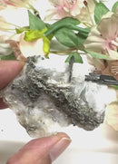 Silver on Matrix Mineral Specimen (Psychic Abilities)