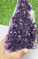 Standing Amethyst Clusters from Uruguay AAA Extra (Very dark Purple)