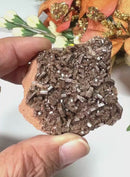 Dark Brown Vanadinite Specimen from Morocco (Motivation)