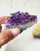 Natural Amethyst Clusters in AAA Quality (Option Wise)