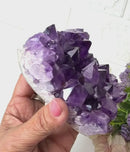 Amethyst Cluster AAA Extra Quality (Intuition and Spiritual Evolution)