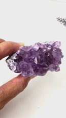 Natural Amethyst Clusters in AAA Quality (Option Wise)
