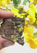 Pyromorphite on Matrix Specimen from Morocco (Achieve Goals)