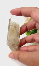 Phantom Quartz (Growth & Enlightenment)