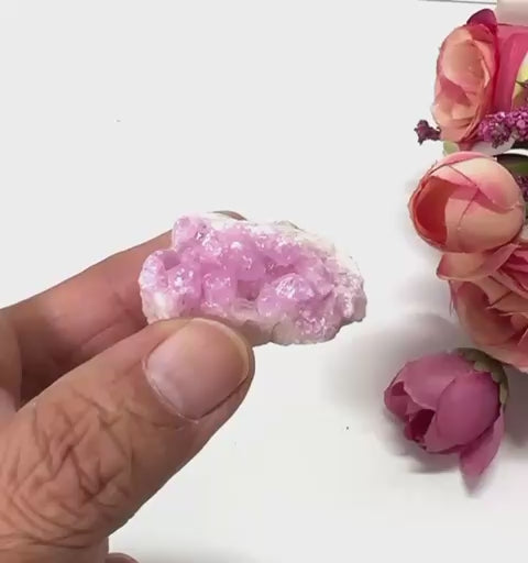 #Size_option c (19.5 g)