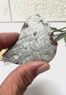 Muonionalusta Meteorite