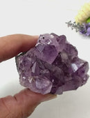 Natural Amethyst Clusters in AAA Quality (Option Wise)