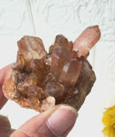 Natural Citrine Clusters from Nigeria (Career) (Not Heated)