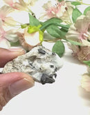 Silver on Matrix Mineral Specimen (Psychic Abilities)