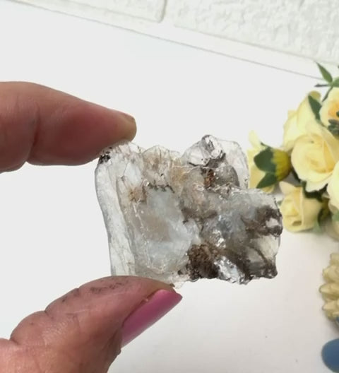 #Size_option c (16.3 g)