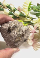 Vesuvianite on Matrix Mineral Specimen (Encourages Team work)