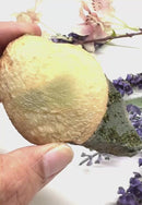 Prehnite and Epidote Mineral Specimen