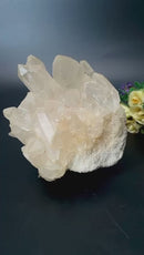 Himalayan Quartz Clusters - Large Cabinet Size (Amplify Energy and Healing)