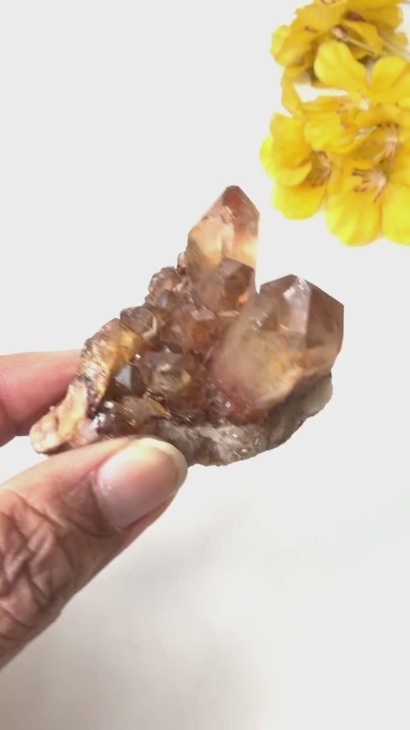 #Size_cluster a (46.7 g)