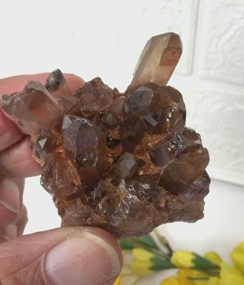 #Size_cluster a (43.73 g)