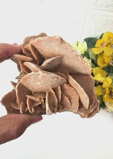 #Size_option f (381 g)