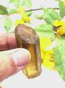 Natural Citrine Points from Zambia (Not heat treated)