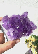 Natural Amethyst Clusters in AAA Quality (Option Wise)