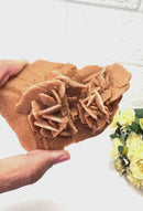 Brown Desert Rose Clusters