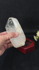 Large Lemurian Clear Quartz on Stand (Master Healers)