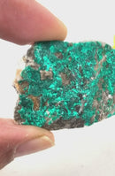 Dioptase Mineral Specimen (Resolve past Karma)