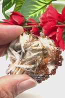 Red Vanadinite on Barite Matrix from Morocco