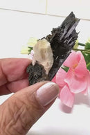 Aegirine Mineral Specimen (Transformation & Protection)