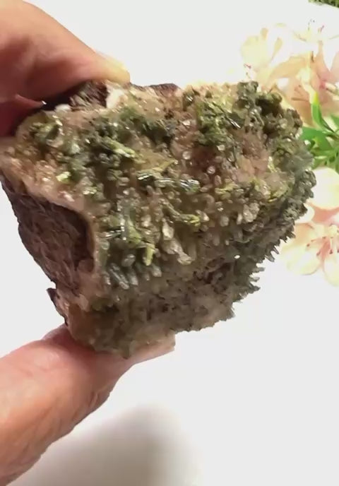 #Size_option e (161 g)