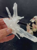 Needle Quartz Clusters from Colombia (Master Healers)