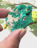 Dioptase Mineral Specimen (Resolve past Karma)