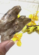 Natural Kundalini Citrine Points / Clusters from Congo