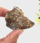Astrophyllite Rough