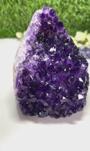 Standing Amethyst Clusters from Uruguay AAA Extra (Very dark Purple)