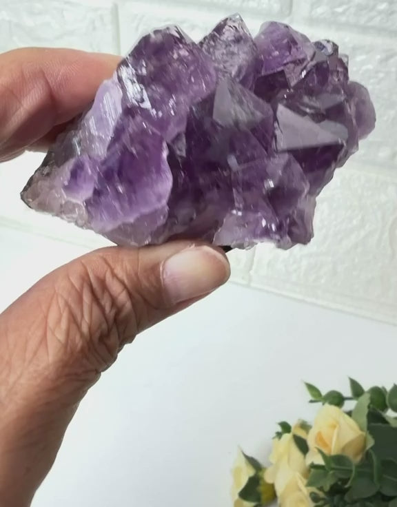 #Size_cluster a (142.8 g)