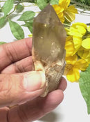 Natural Kundalini Citrine Points / Clusters from Congo