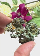 Green Copper Specimen from Morocco