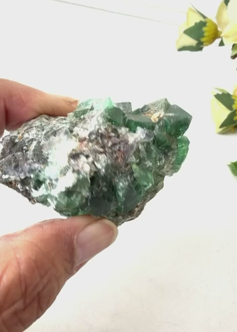 #Size_option a (74.2 g)