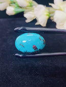 Natural Iranian Turquoise Gem (Firoza)
