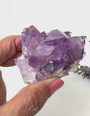 Natural Amethyst Clusters in AAA Quality (Option Wise)