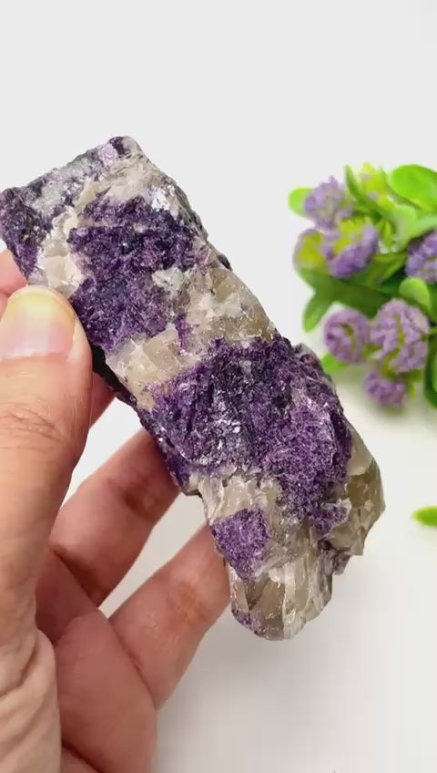 #Size_option f (231 g)