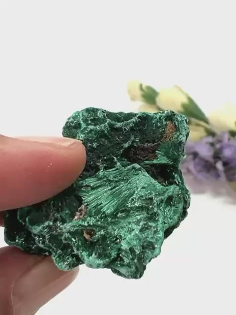 #Size_option e (22.8 g)