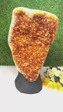 Citrine Standing Clusters AAA Extra Quality (For Career and Business)