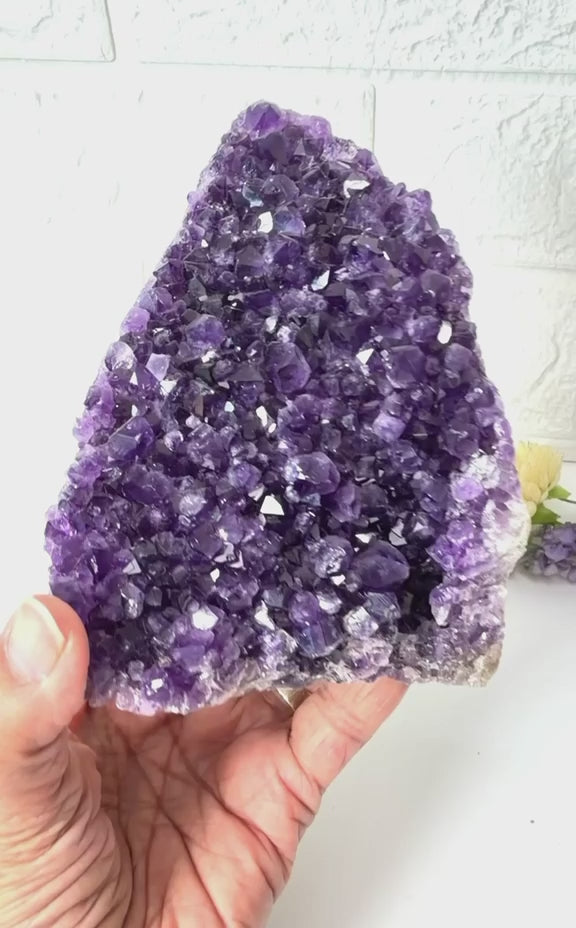 #Size_cluster l (1030 g; height-10.7 cm)