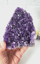 Standing Amethyst Clusters from Uruguay AAA Extra (Very dark Purple)