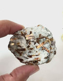 Astrophyllite Rough