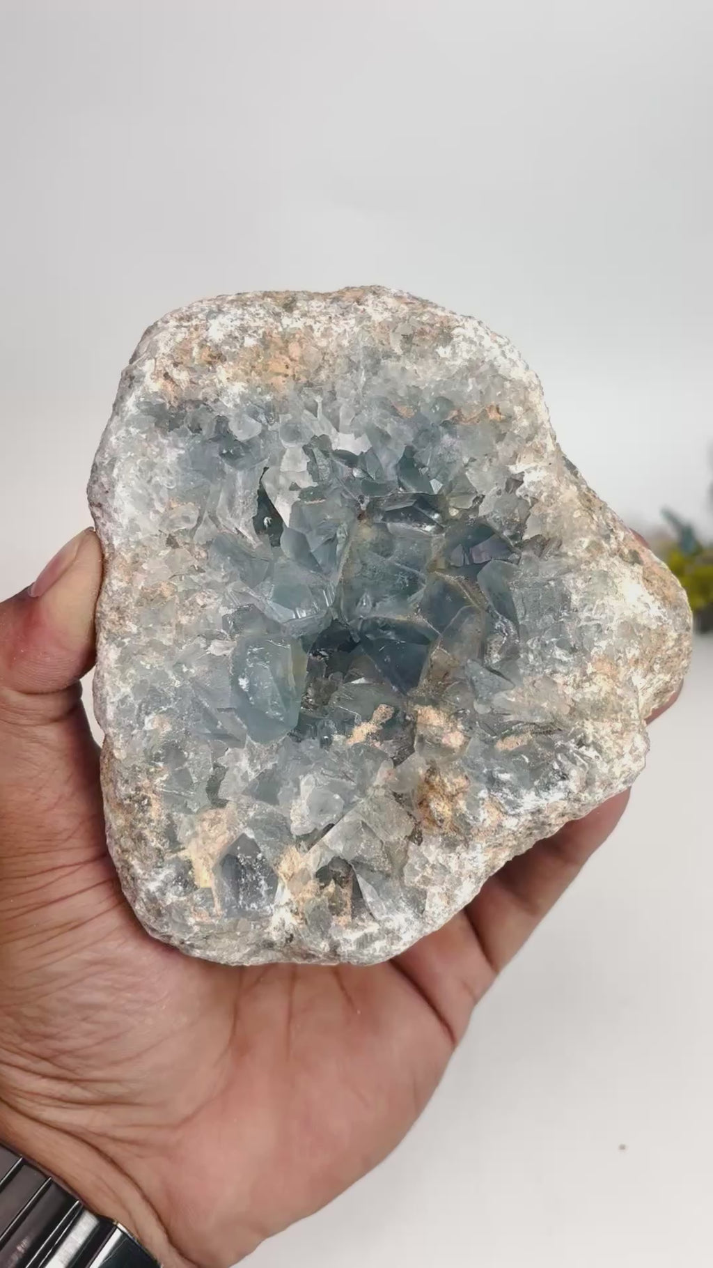 #Size_cluster f (1.336 kg)