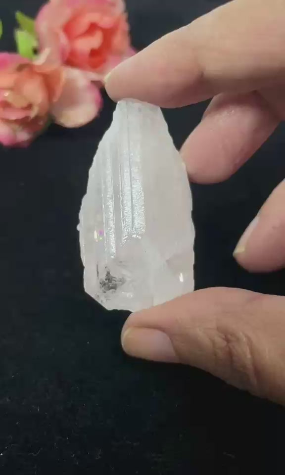 #Size_option d (20.7 g)